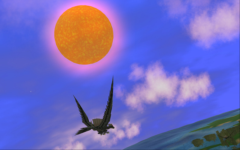 bird_sun_and_sea.jpg