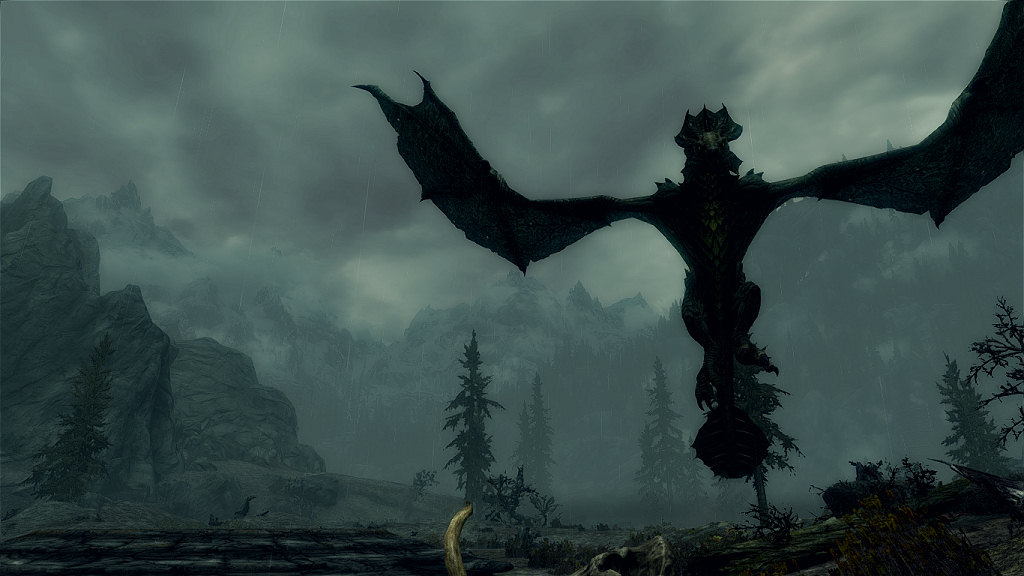 dragon_001.jpg