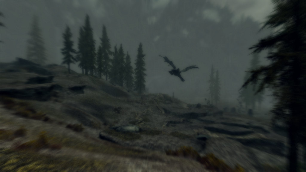 dragon_002.jpg