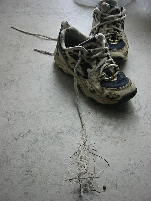 nathans%20wild%20shoelace.jpg