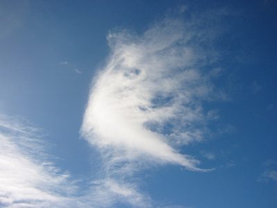 sky%20fan.jpg
