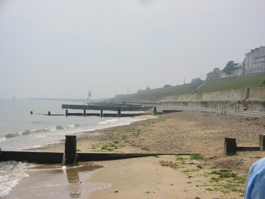 tWallace_001_118.jpg