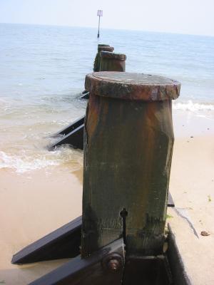 tWallace_001_121.jpg