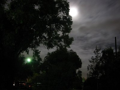 moon%20and%20streetlight.jpg