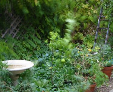 spirits%20in%20the%20garden.jpg