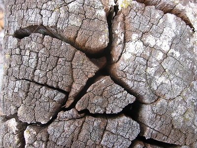 weathered%20cracked%20post.jpg