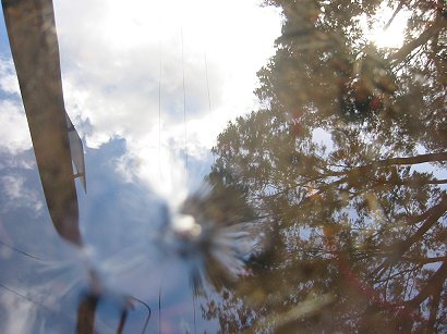 mirror%20or%20a%20stobby%20pole%20(164-6426).jpg  